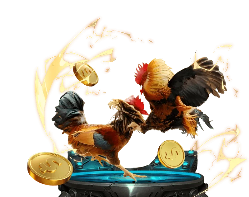 Khuyến Mãi Đá Gà Đặc Biệt